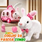 Coelho da Páscoa Combo